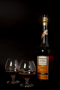 蘋果白蘭地 節日酒吧中的精致酒精飲料