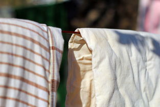 佳能 EF 50mm f/1.8 II 試鏡體驗與針織品原料拍攝學習